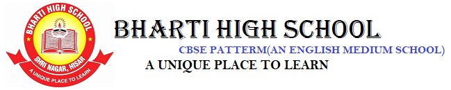 BHARTI HIGH SCHOOL HISAR